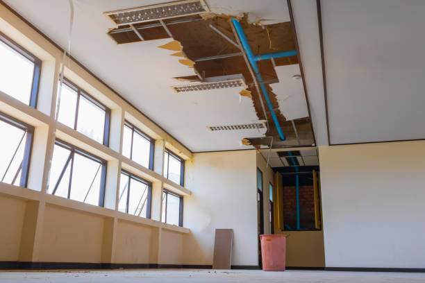 Best Water damage restoration insurance claims  in Rutherfordton, NC