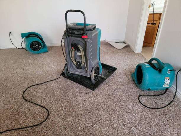 Best Residential water damage restoration  in Rutherfordton, NC