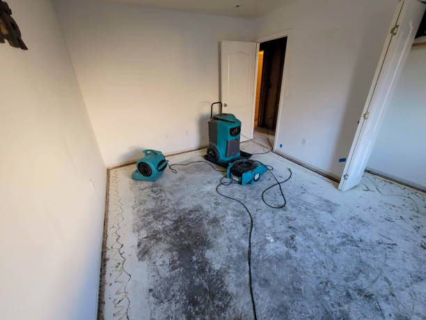 Best Water damage restoration cost  in Rutherfordton, NC