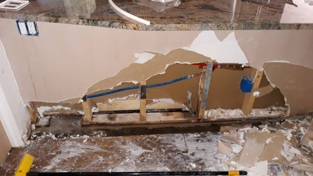 Best Professional water damage repair  in Rutherfordton, NC