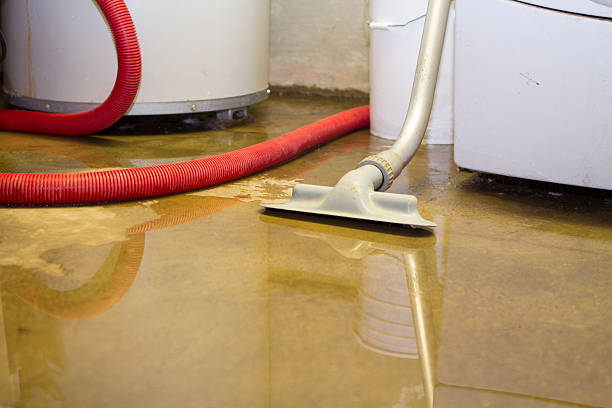 Best Mold removal after water damage  in Rutherfordton, NC