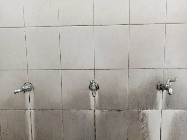 Best 24-hour water damage restoration  in Rutherfordton, NC