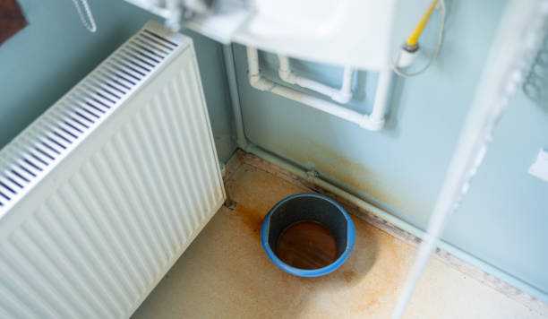 Best Water damage contractors near me  in Rutherfordton, NC