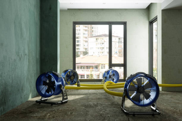 Best Ceiling water damage repair  in Rutherfordton, NC