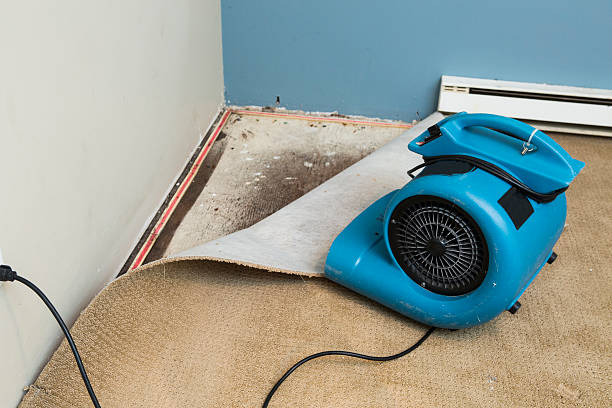 Best Basement water damage restoration  in Rutherfordton, NC